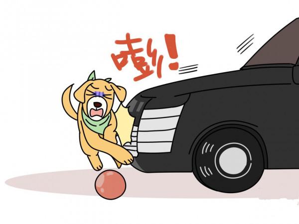 普法巴士 &vert;&vert; 大狗咬小狗，誰擔責？