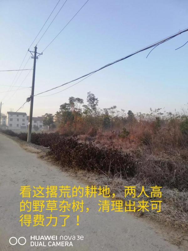 退休後有我這樣喜歡種菜垂釣的夥伴嗎？