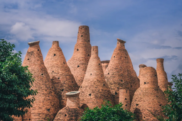 曾破吉尼斯世界紀錄！80萬畝花海齊綻放！這裡藏著國內最早的春天