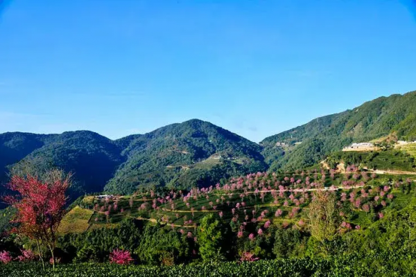 適合冬天的12條小眾自駕路線，人少景美，年末，選一條就出發吧