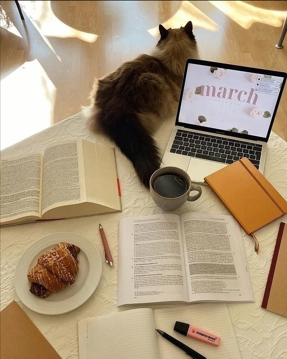 讀書有感——《自律的人生更自由》 讀書有感——《自律的人生更自由》