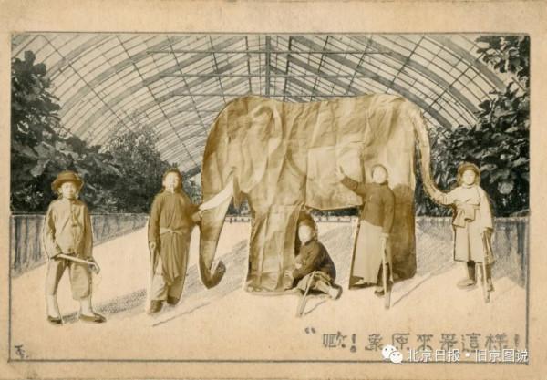 “故事爺爺”的故事：孫敬修居然是這樣“出道”的