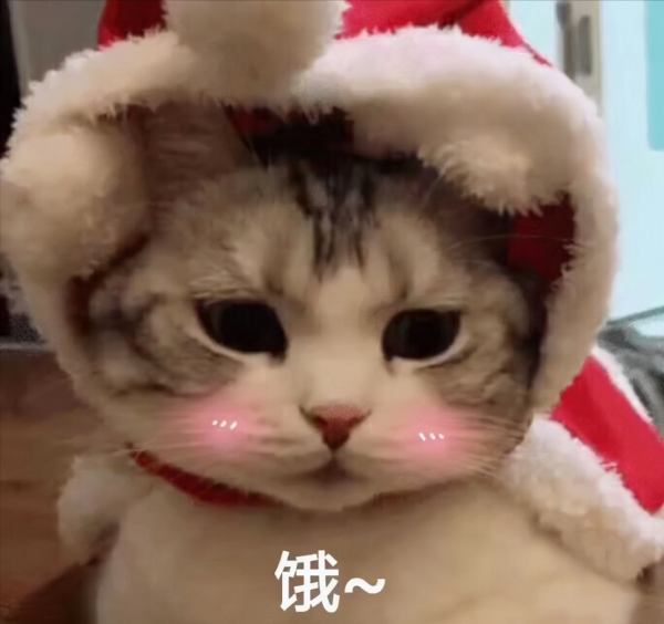 喵星人可愛表情包來了