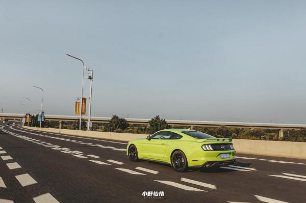 年輕人輕鬆實現的跑車夢,Mustang有何過人之處? 年輕人輕鬆實現的跑車夢,Mustang有何過人之處?