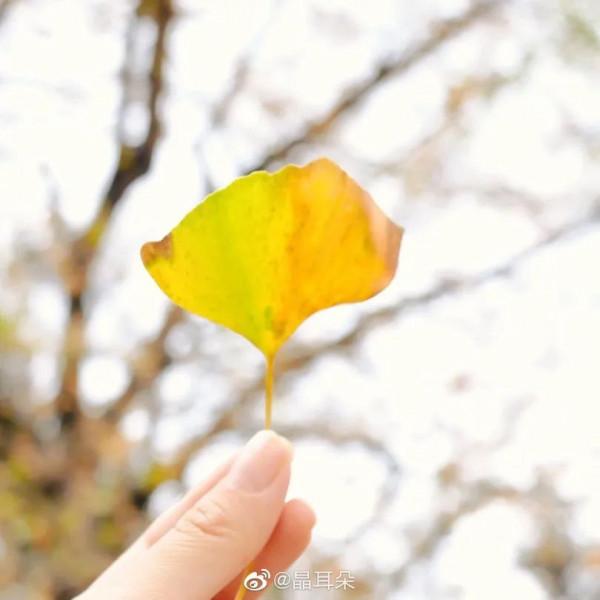 福建有你期待的“秋日物語”！快帶上相機出發吧~