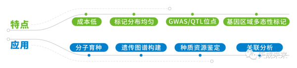 最新小麥SNP晶片及外顯子捕獲晶片