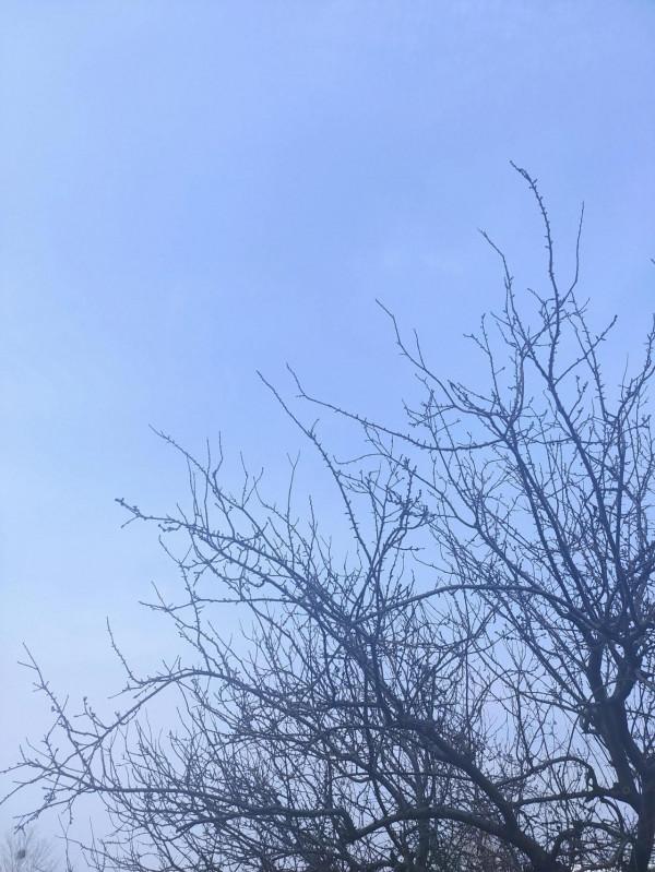 你身邊存在有性格缺陷的人嗎