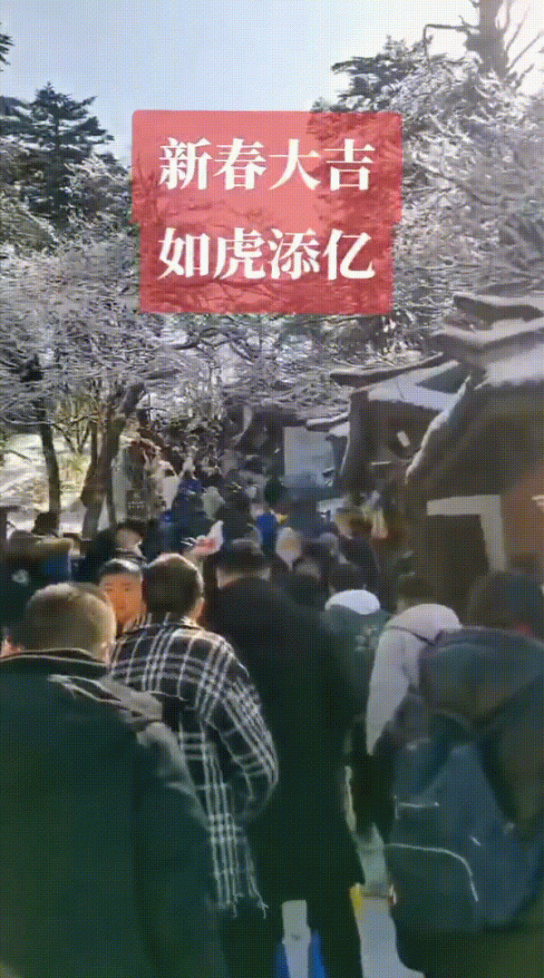 專家齊發聲，紀檢委保駕，國內遊即將火爆迴歸