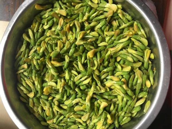 這野菜有肉的口感，頭茬採摘能賣50元&sol;斤，煎雞蛋很美味，認識嗎