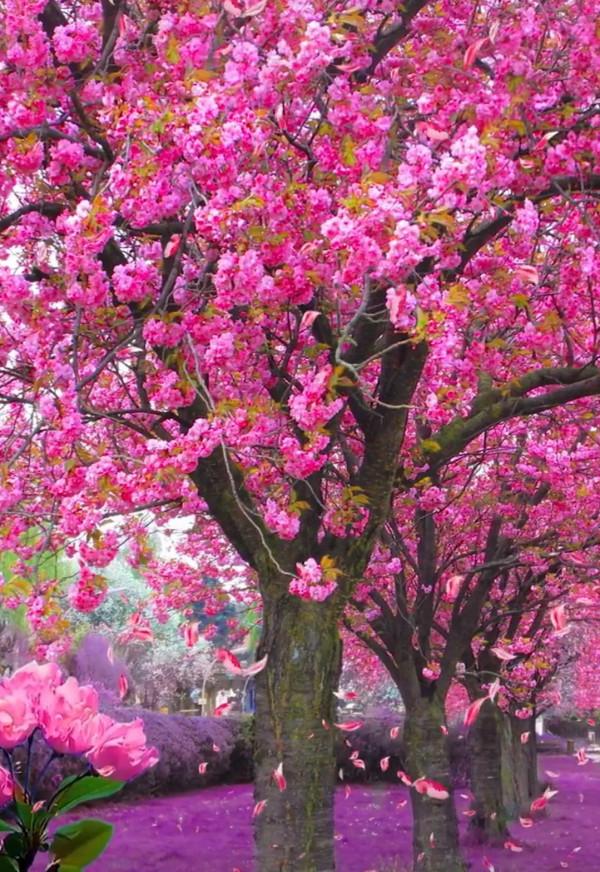 《一個人最好的修養，是情緒穩定》作者：曉君