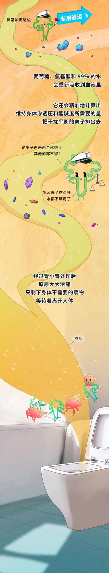 漫畫科普：來看這個器官是怎麼幹活兒的