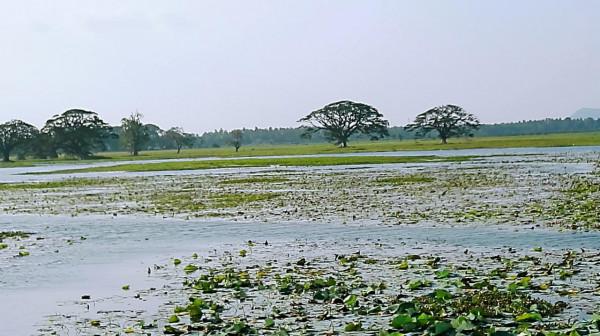 斯里蘭卡之旅(17)蒂瑟默哈拉默 斯里蘭卡之旅(17)蒂瑟默哈拉默