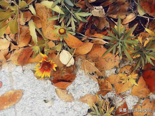 你走，我不送你