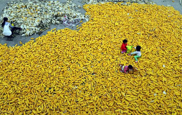 老話說“八月十五看月光,可知來年荒不荒”為何意?怎樣看月光? 老話說“八月十五看月光,可知來年荒不荒”為何意?怎樣看月光?