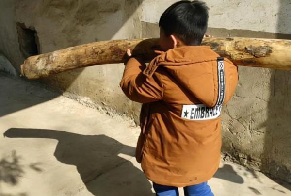 中國巨人,身高2.36米獲世界紀錄,娶1.9米的妻子,現狀如何? 中國巨人,身高2.36米獲世界紀錄,娶1.9米的妻子,現狀如何?