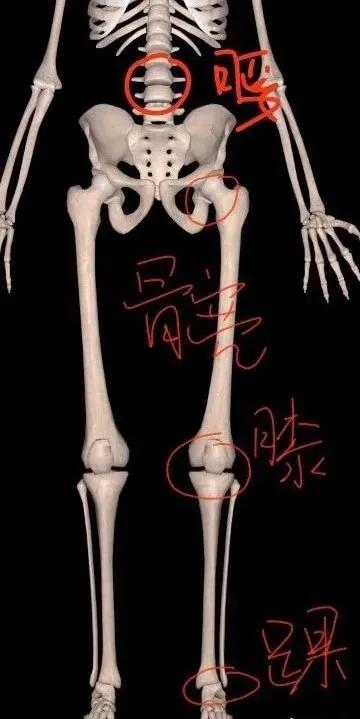 放鬆過度後需要加強穩定性訓練