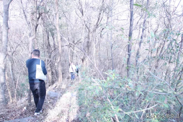 探訪京山楊集磨棋觀