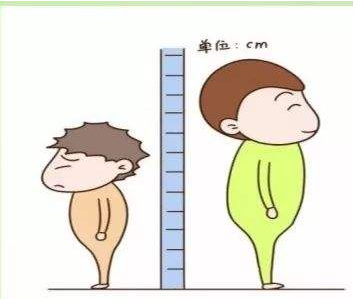 我家孩子比同齡孩子要矮該怎麼補充呢？