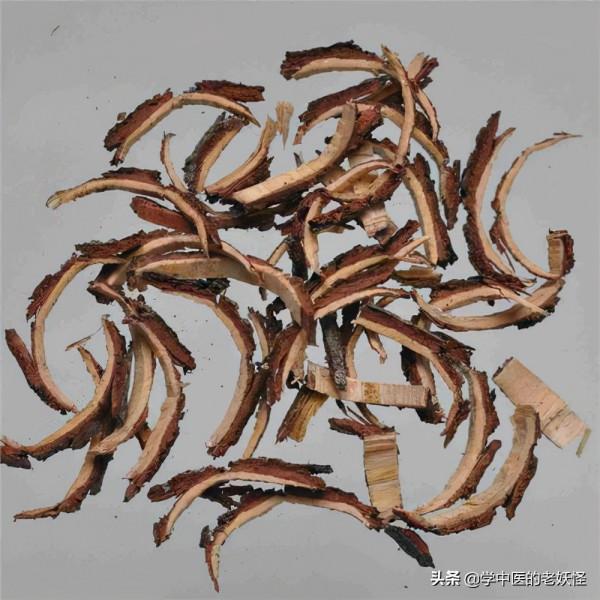每天學習一味中藥——苦楝皮 每天學習一味中藥——苦楝皮