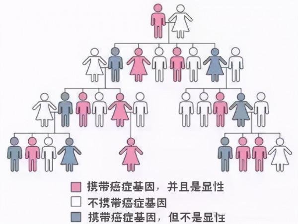 奪走趙忠祥生命的鱗狀細胞癌,聽起來陌生,實際上卻很常見 奪走趙忠祥生命的鱗狀細胞癌,聽起來陌生,實際上卻很常見