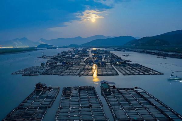 中秋丨父母在,不遠遊 中秋丨父母在,不遠遊