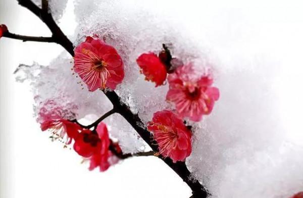 紅色性格是怎樣的？《色眼再識人》告訴你，你有這些性格特點嗎？