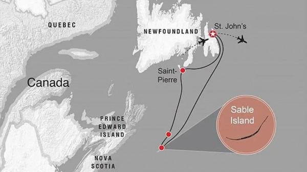獨守死亡之島50年，與野生動物為伴，71歲老人今夏感動戛納