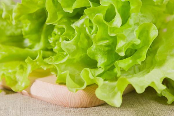 “二九”可種植哪些蔬菜？6種“耐寒菜”都可種，蔬菜貴也不怕