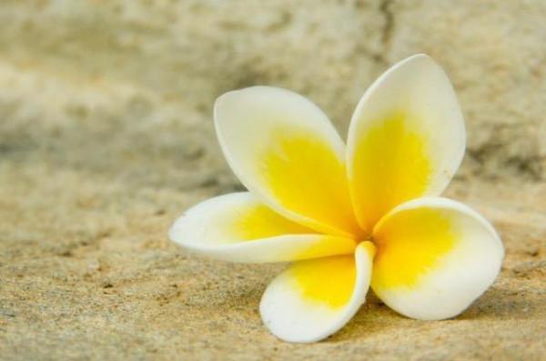 人到中年：人際關係斷、舍、離，是智慧的巔峰