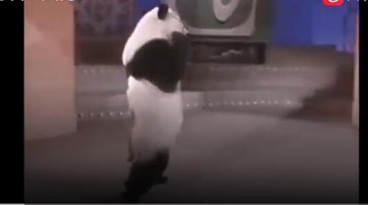 熊貓前輩巴斯的故事 熊貓前輩巴斯的故事