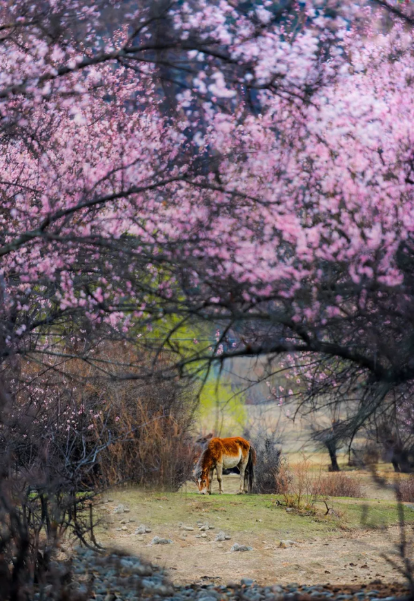 旅行是一種學問:做過這12件事,才算真的懂旅行 旅行是一種學問:做過這12件事,才算真的懂旅行