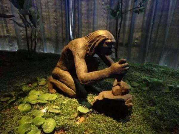 中華祖先之(藍田人與元謀人) 中華祖先之(藍田人與元謀人)