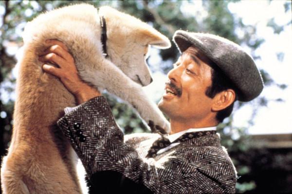 馮小剛新片《忠犬八公》定檔,跟原版相比,這三點既期待又擔心 馮小剛新片《忠犬八公》定檔,跟原版相比,這三點既期待又擔心