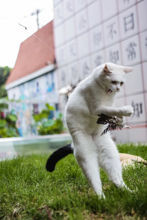 天團連連看，你的眼睛還好嗎？