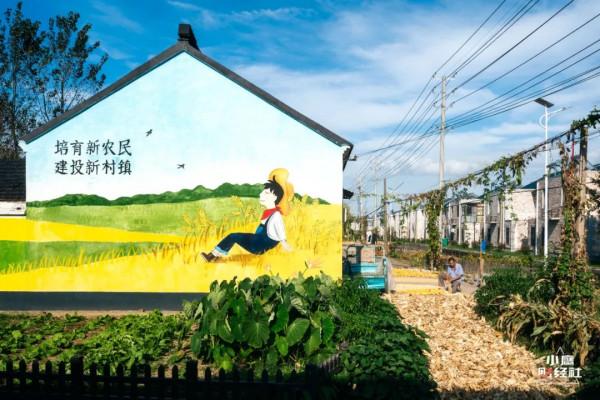 觀點：請國家也把鄉村振興政策給到“俞敏洪”們