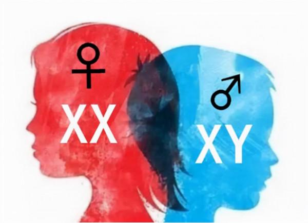 人類性別只有男和女？實際情況或許比你想象中的要複雜，不妨看看