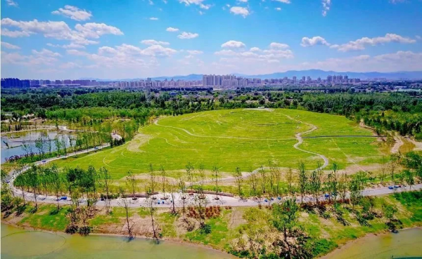 華北地區最大銀杏生態文化園,落戶順義河東這地方 華北地區最大銀杏生態文化園,落戶順義河東這地方