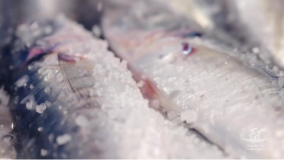 你從未聽說過的潮汕魚飯