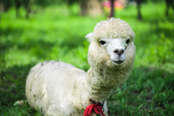 好吃,好玩,好看!京郊避暑勝地居然還有這麼有趣的地方! 好吃,好玩,好看!京郊避暑勝地居然還有這麼有趣的地方!
