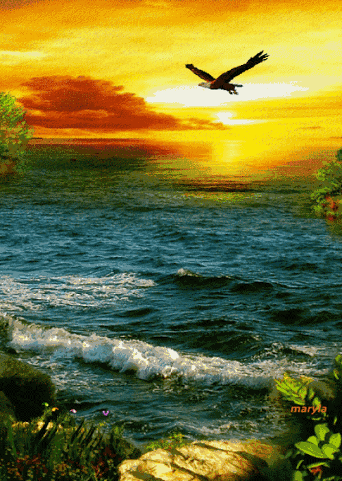 美呆的人間仙境