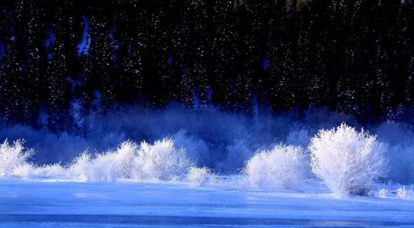 新疆霧凇,這才是完美冬天的開啟方式,真正的冰雪王國... 新疆霧凇,這才是完美冬天的開啟方式,真正的冰雪王國...