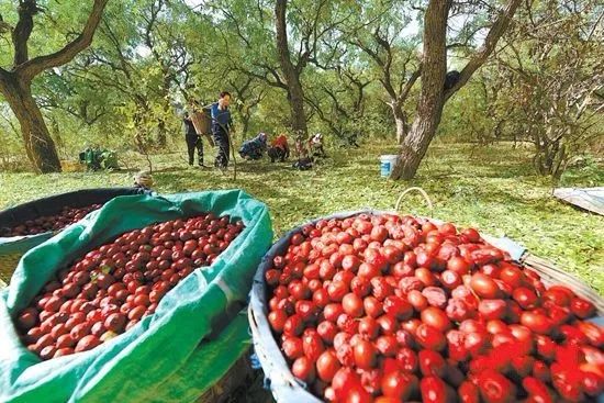 行走甘南藏地，觀察洮河流域人群的生活變遷史
