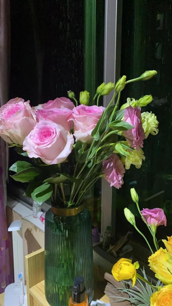 冬天暖色系的花朵