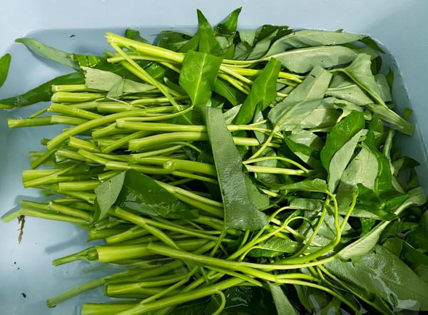 含“寄生蟲”最多的3種蔬菜，沒營養還貴，商家自己都不吃