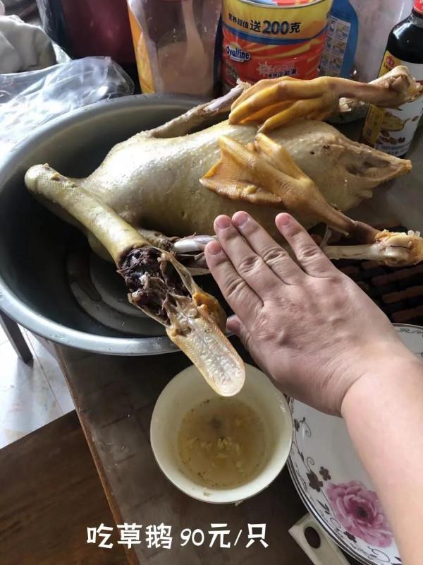 單從吃上來說，海南消費真不貴