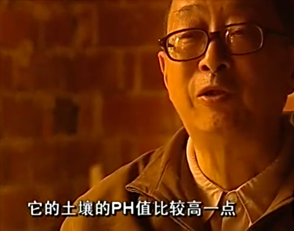 真實故事：湖南農村遇怪事，村民上山挖墳頭土，兌水服下發生奇蹟