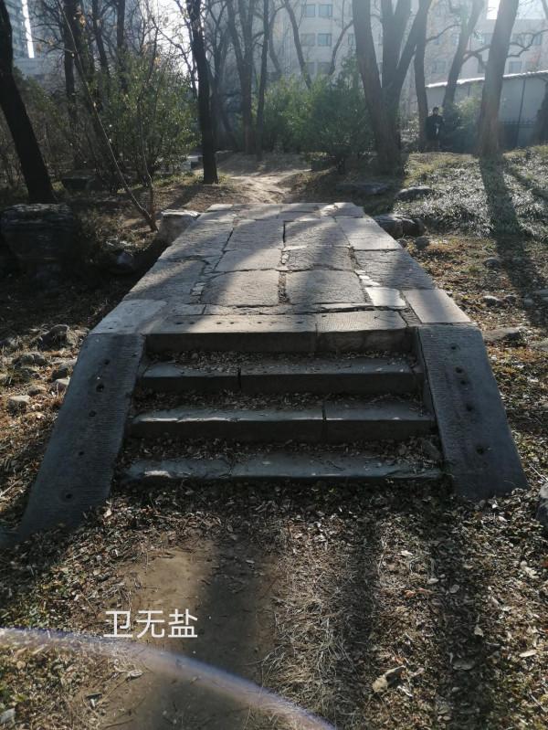 金代白石橋，重現動物園？