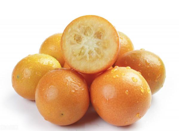 哪些水果有利於狗狗的健康並且安全？