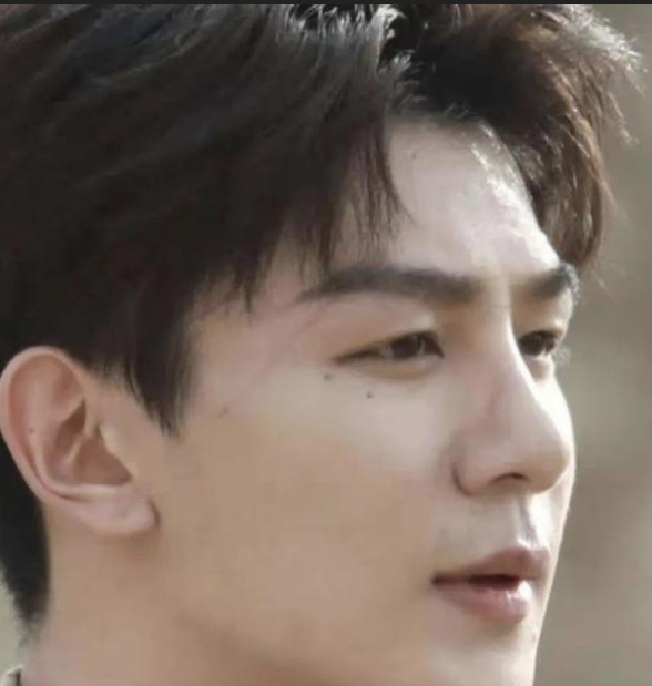 內娛“假鼻子”大PK，誰的假到逆天，誰的越整越殘？