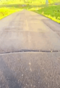 2022年2月22日正月廿二星期二，來了